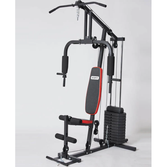 Купить Фитнес станция  EcoFit E-8171  в Киеве - фото №1